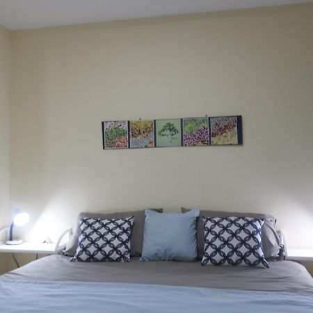 Apartamento San Carlos Sonzacate Eksteriør billede